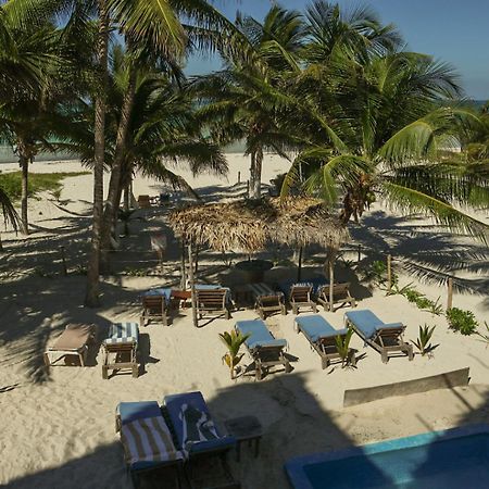 Casa Mate Beachfront Houses 埃尔库约 外观 照片