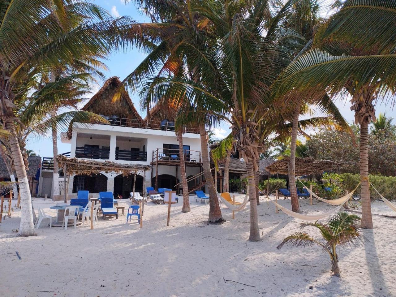 Casa Mate Beachfront Houses 埃尔库约 外观 照片