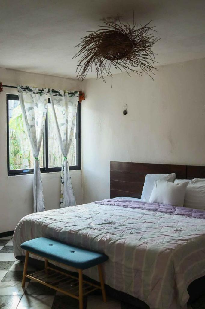 Casa Mate Beachfront Houses 埃尔库约 外观 照片