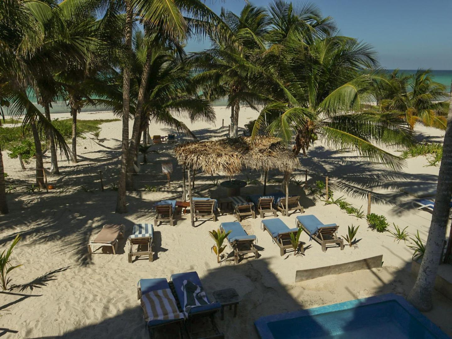Casa Mate Beachfront Houses 埃尔库约 外观 照片